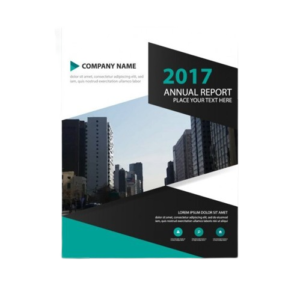 2017 Annual Report Cover